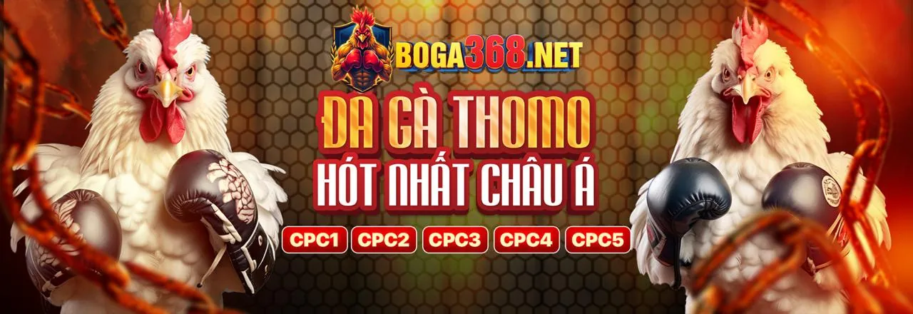 Hình ảnh chính đăng ký Yo88